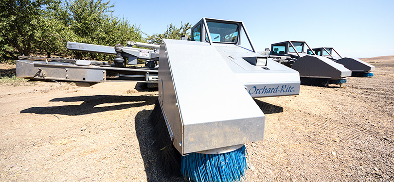 Orchard Shakers – Stanislaus sees huge increase in almond orchards as demand soars